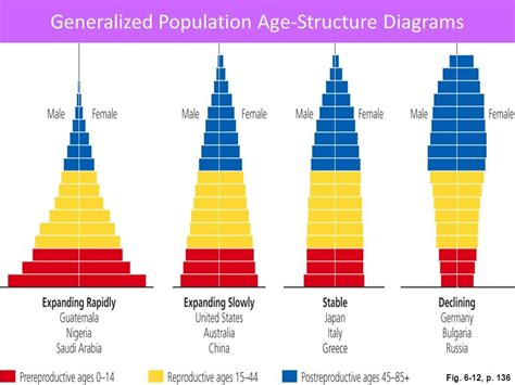 the human population quizlet